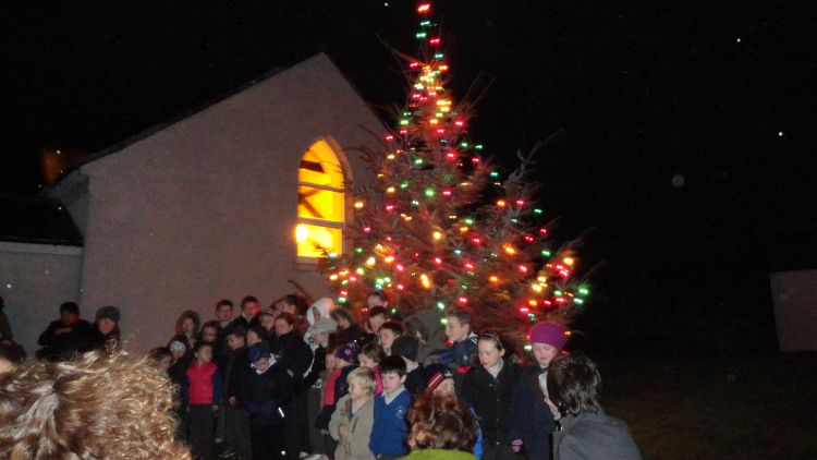 tree