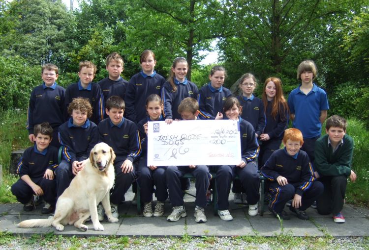 Guide Dogs