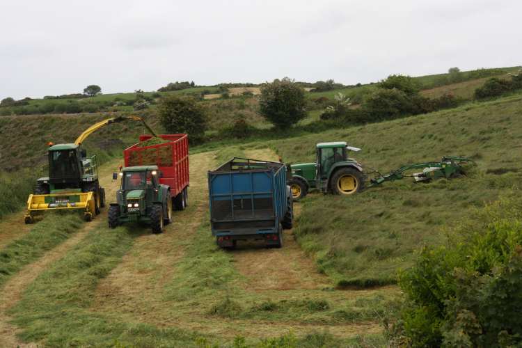 Silage cutting